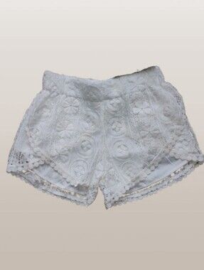 NWT Paper Crane Anthropologie Boho Crochet Lace Lined Shorts M